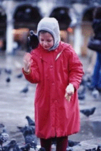 in_fran_23_07a6e.png