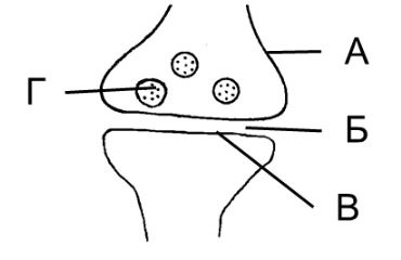 3_acns.png