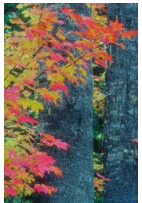 In_22_c06e6.png