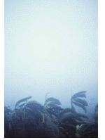 In_23_ef43d.png
