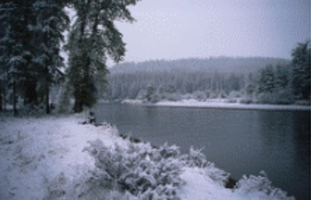 in_fran_35_bc7d7.png